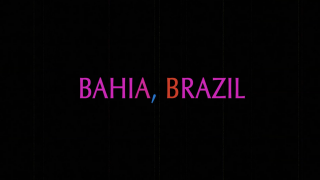 Opus Foundation-Brazil